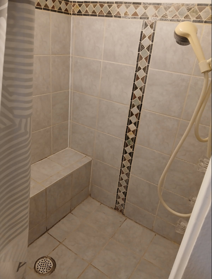 Bathroom shower before cleaning - showing tile and grout condition