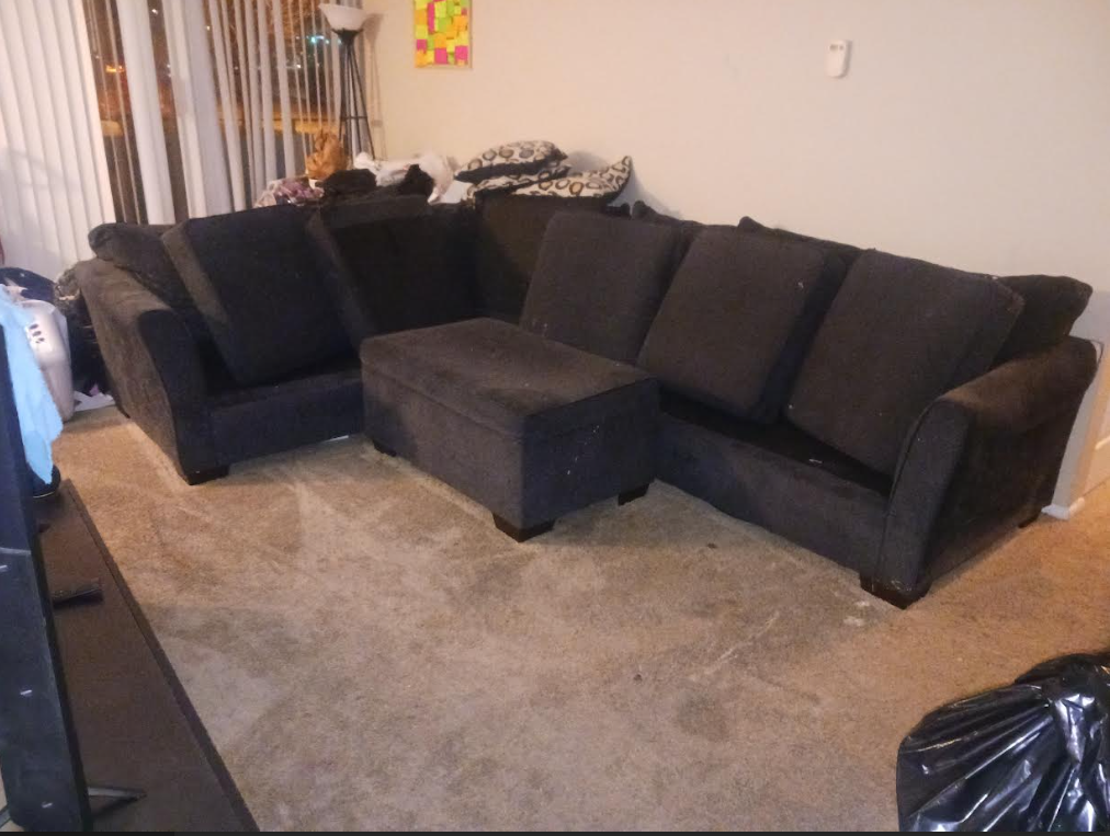 Living room after cleaning - organized and clutter-free